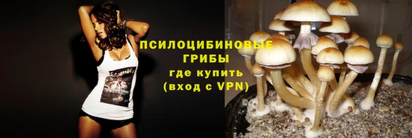 Альфа ПВП Богданович